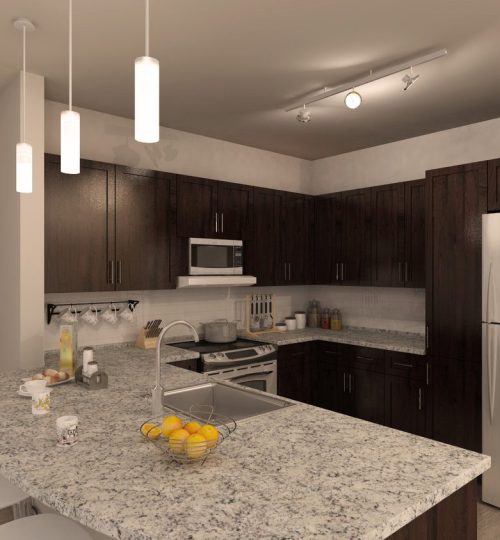 3D Renderings - Commercial-Interior-03